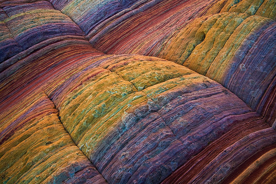 Patterns In Nature Paintings